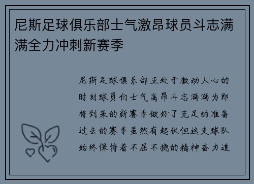 尼斯足球俱乐部士气激昂球员斗志满满全力冲刺新赛季