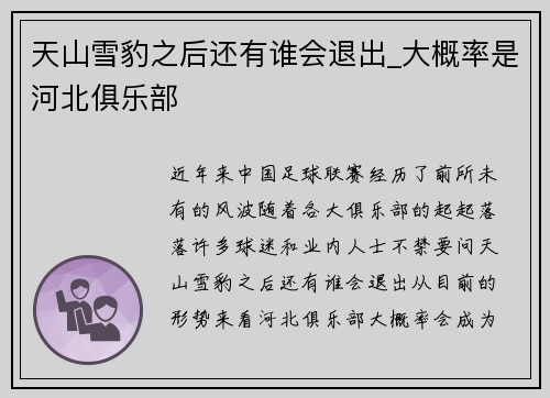 天山雪豹之后还有谁会退出_大概率是河北俱乐部
