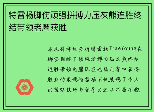特雷杨脚伤顽强拼搏力压灰熊连胜终结带领老鹰获胜
