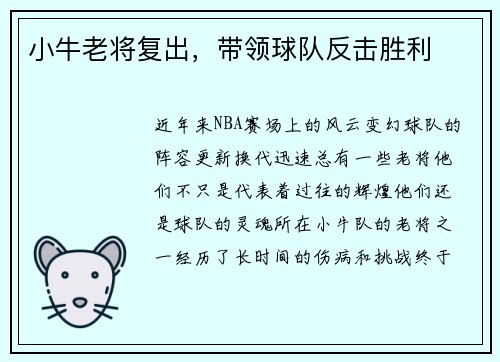 小牛老将复出，带领球队反击胜利