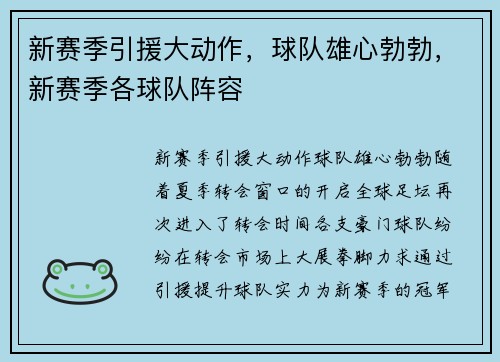 新赛季引援大动作，球队雄心勃勃，新赛季各球队阵容