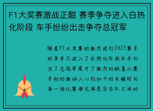 F1大奖赛激战正酣 赛季争夺进入白热化阶段 车手纷纷出击争夺总冠军